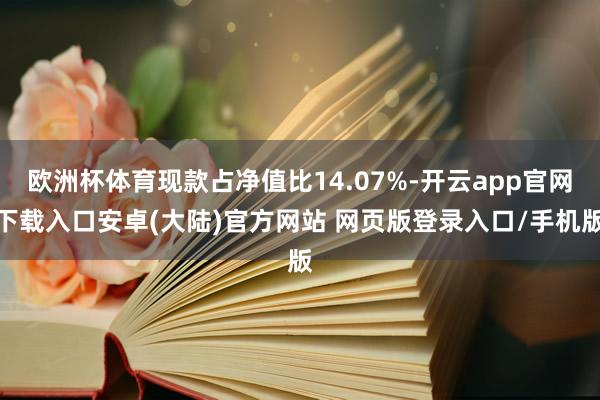欧洲杯体育现款占净值比14.07%-开云app官网下载入口安卓(大陆)官方网站 网页版登录入口/手机版