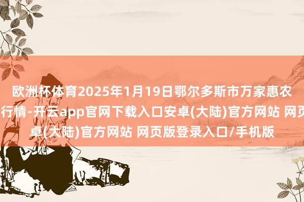 欧洲杯体育2025年1月19日鄂尔多斯市万家惠农贸商场有限公司价钱行情-开云app官网下载入口安卓(大陆)官方网站 网页版登录入口/手机版